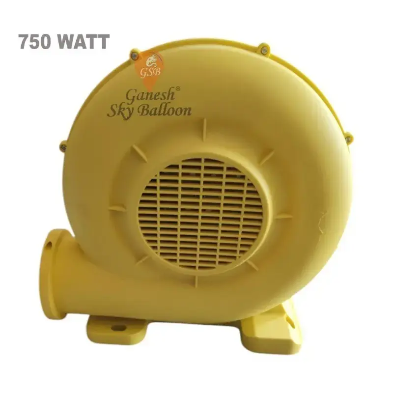 PVC Transparent Inflatable Bubble House | 13x19 Feet (Without Bed)