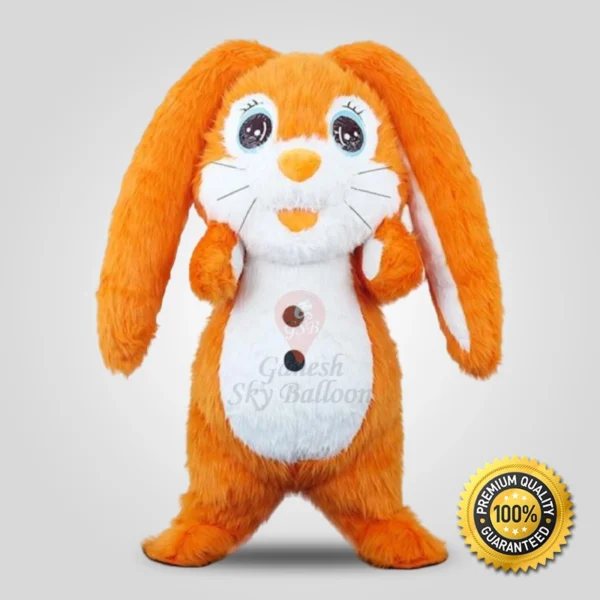 Rabbit Furr Mascot Costumes