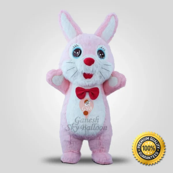 Female Rabbit Mascot Costume