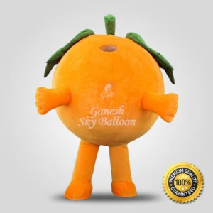 Orange Fruit Mascot Costume