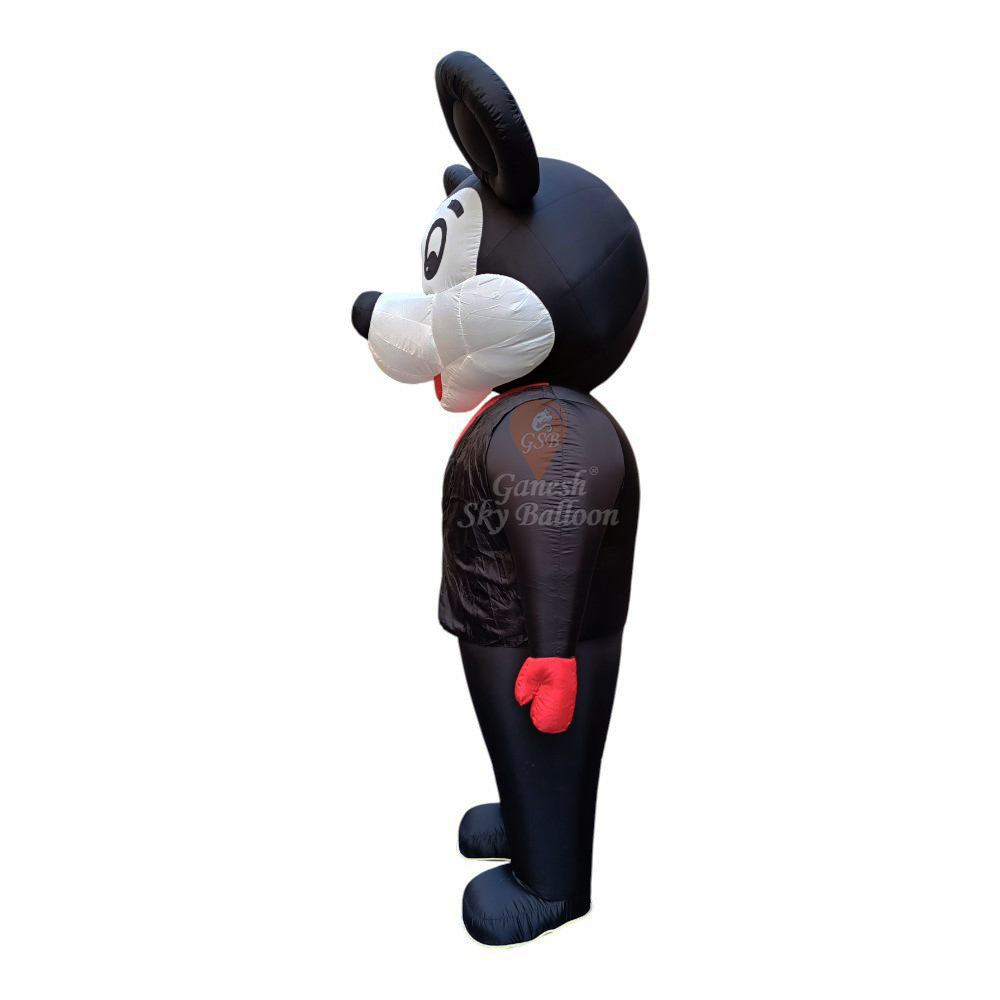 Inflatable Character