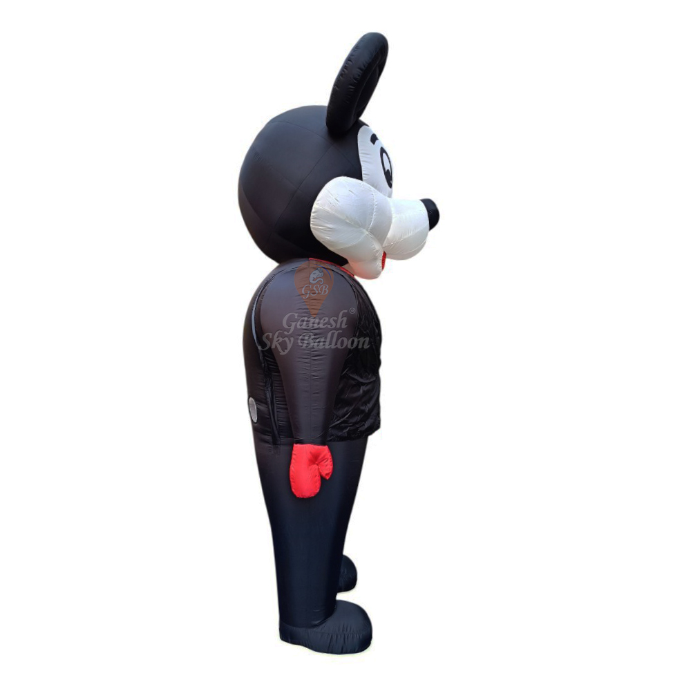 Inflatable Character