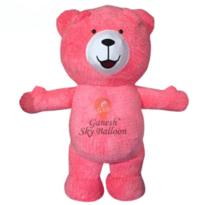 Fur Mascot Teddy Bear Pink