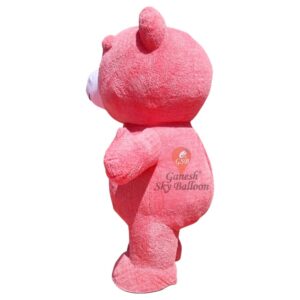 Fur Mascot Teddy Bear Pink
