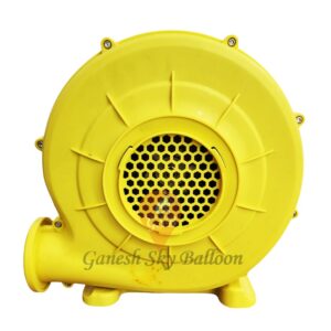 250 Watt Air Blower